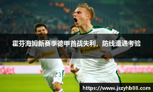 霍芬海姆新赛季德甲首战失利，防线遭遇考验
